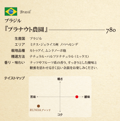 6月1日開始 スペシャルティコーヒー インフォメーション 瑠之亜珈琲 6月1日開始 スペシャルティコーヒー インフォメーション 瑠之亜珈琲